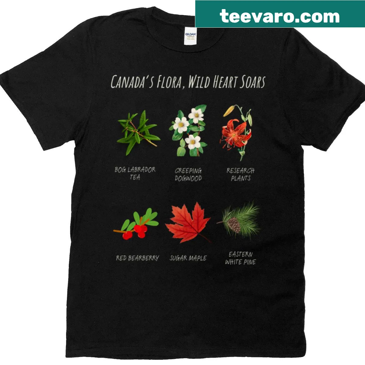 T-shirt celebrating Canada's diverse flora with artistic design. — on a men's t-shirt