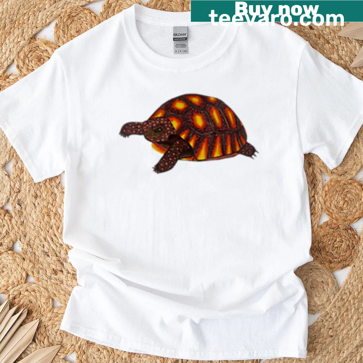 Illustration of a tortoise on a casual t-shirt — on a men's t-shirt