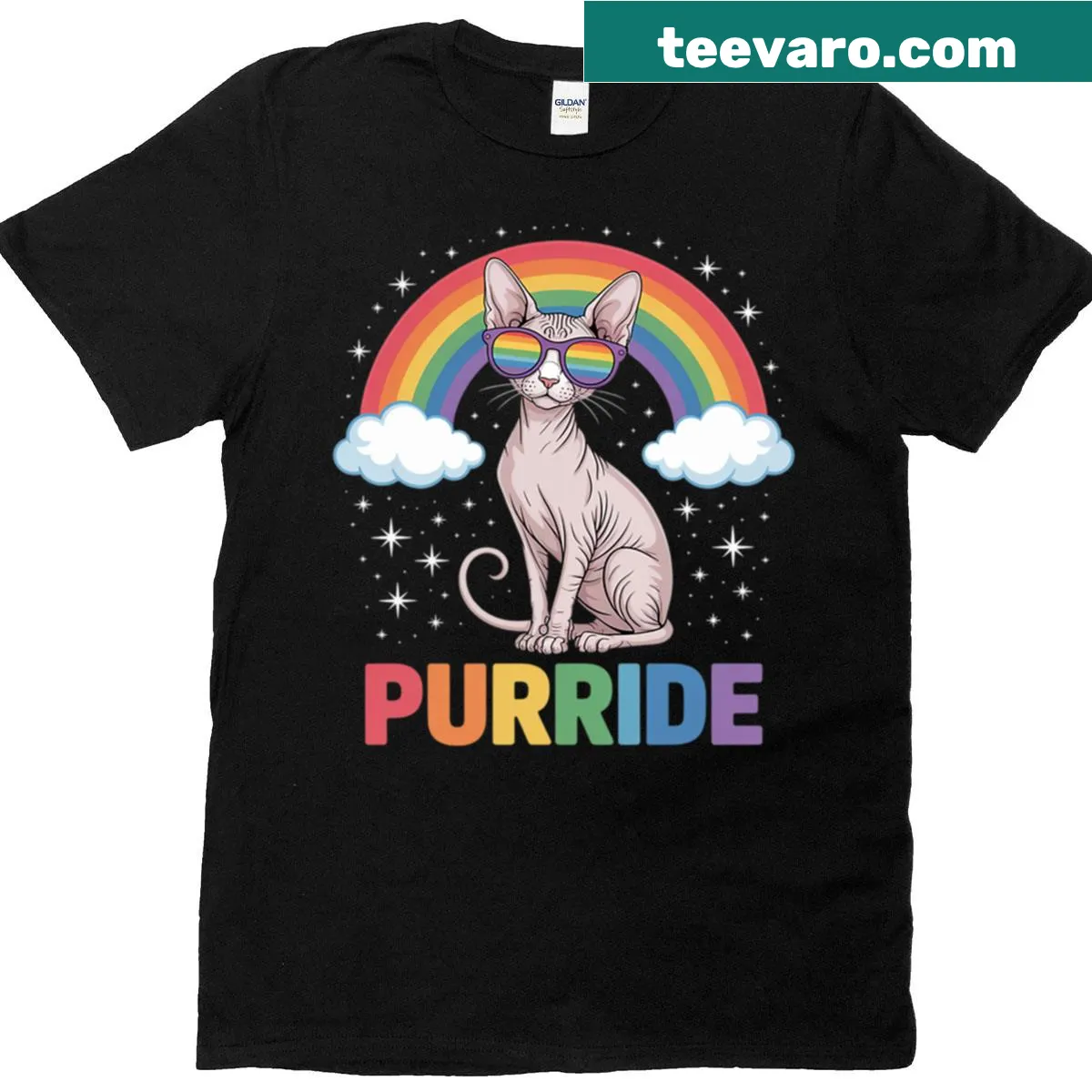 Sphynx cat in sunglasses with rainbow flag design for Pride — on a men's t-shirt