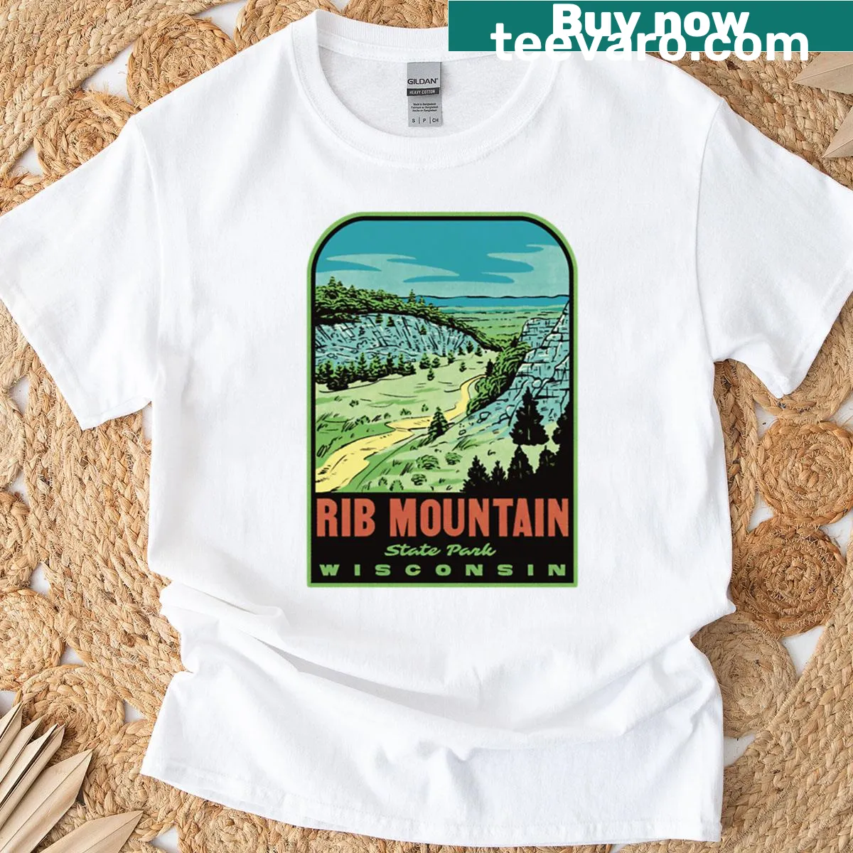 Retro nature illustration of Rib Mountain State Park on a shirt — on a men's t-shirt