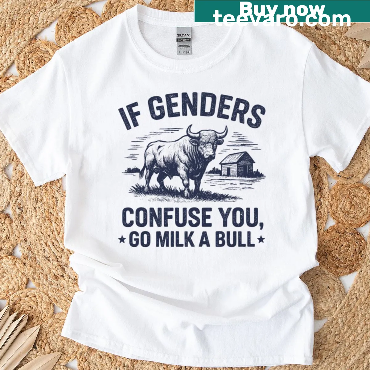 Vintage T-shirt with edgy quote about genders and a bull — on a men's t-shirt