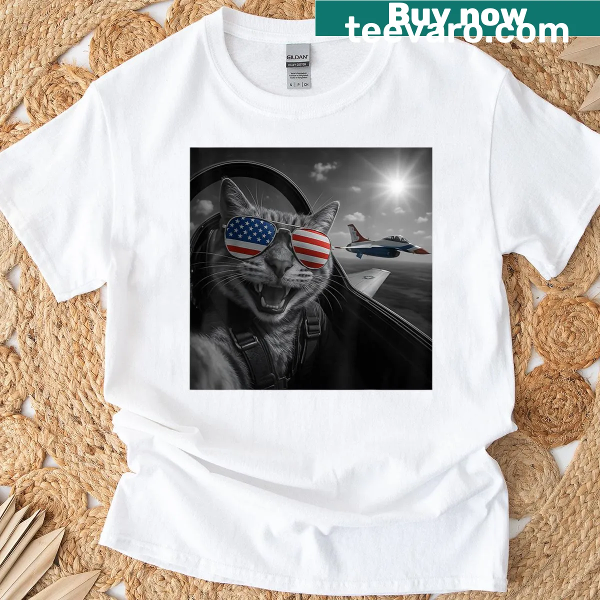 Funny illustration of a cat celebrating Independence Day in a jet — on a men's t-shirt