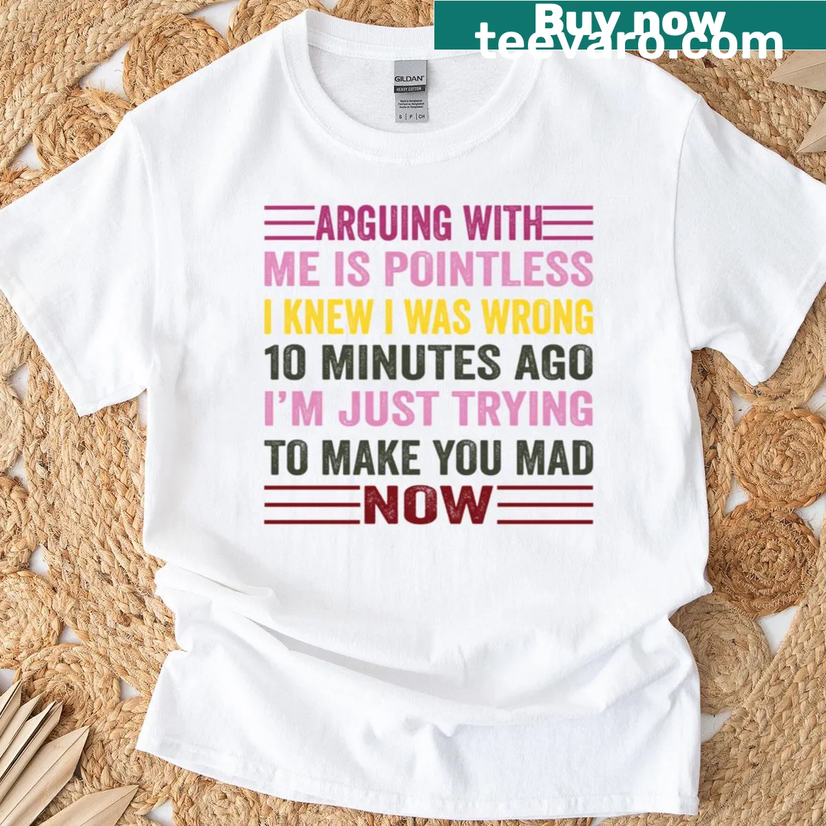 Funny T-shirt with 'Arguing With Me Is Pointless' text — on a men's t-shirt