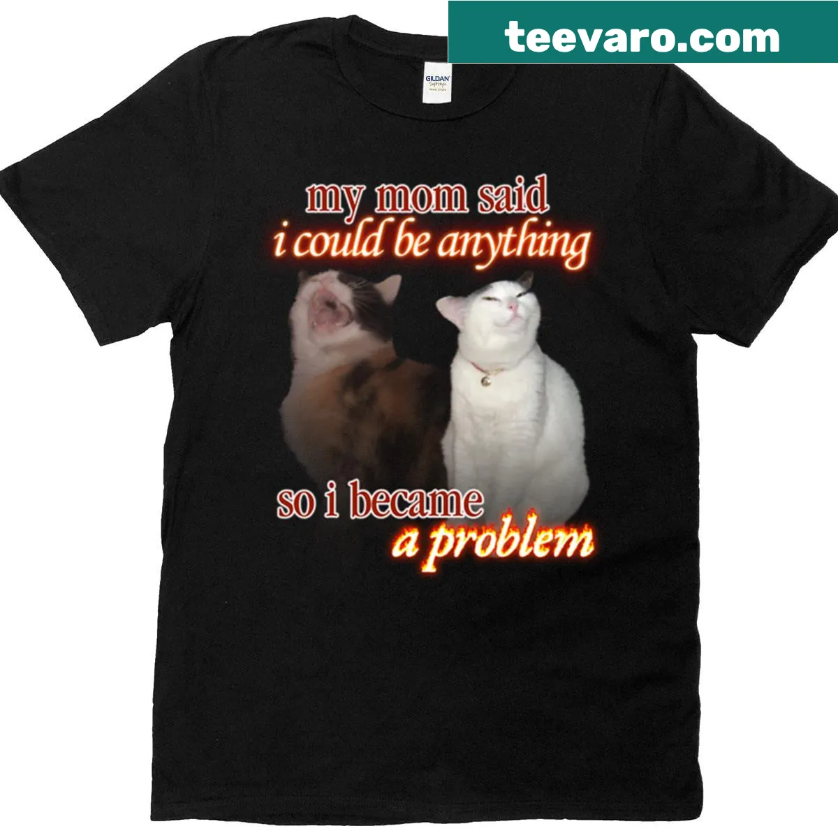 Inspirational t-shirt with text 'My Mom Said I Could Be Anything' — on a men's t-shirt