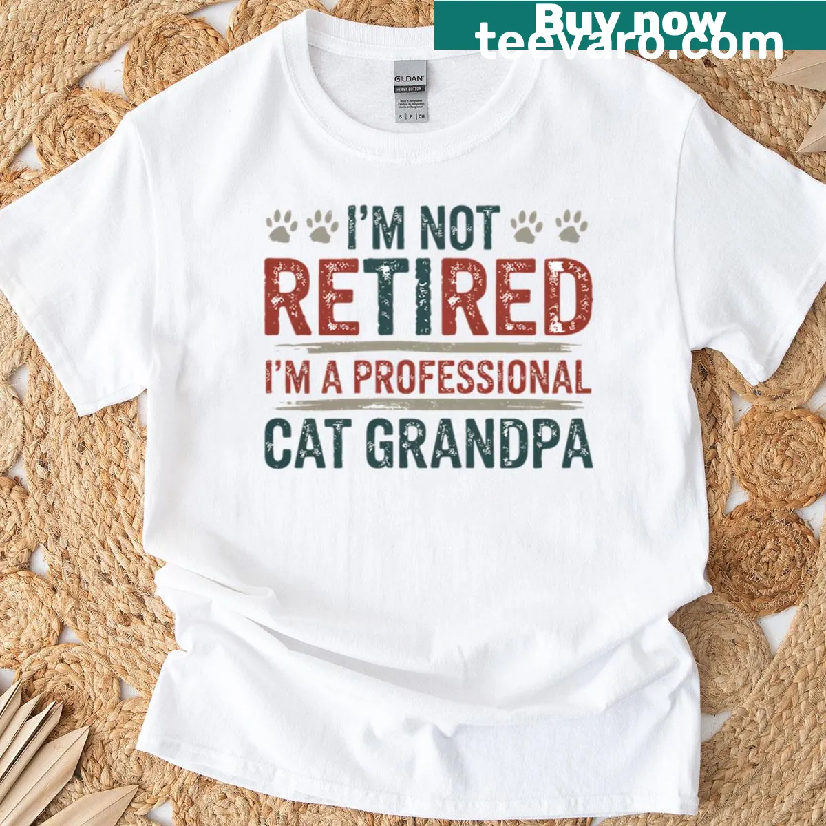 Oversized t-shirt stating 'Im Not Retired Im A Professional Cat Grandpa' — on a men's t-shirt
