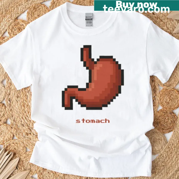 Pixel art of stomach anatomy in a humorous design on T-shirt.