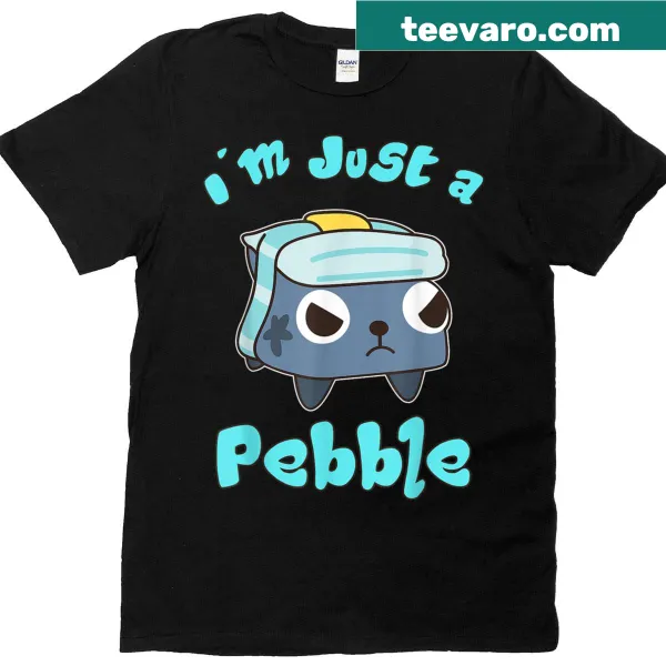 Cartoon birthday T-shirt with a funny pebble graphic for kids