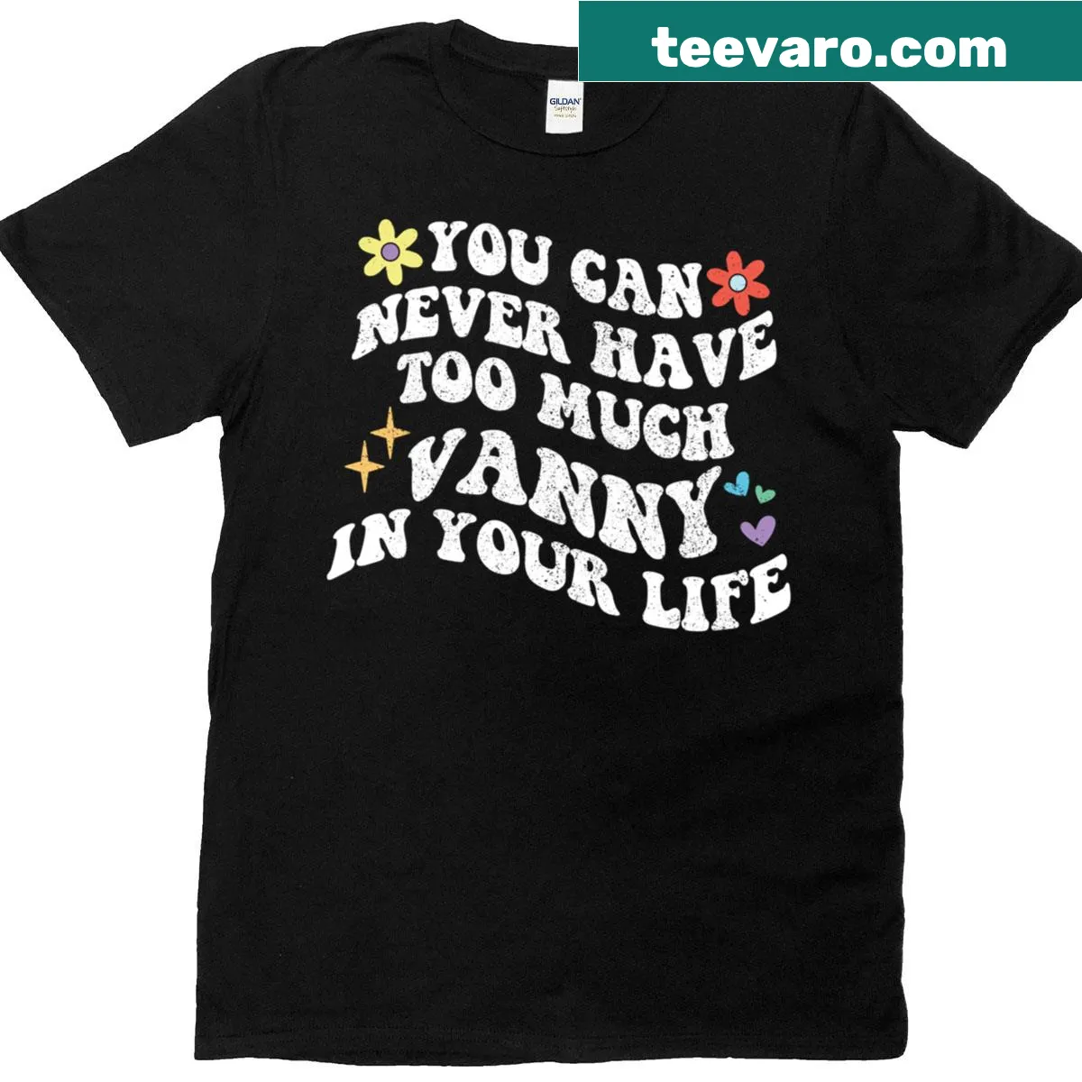 Vintage-style t-shirt with a positive phrase about Vanny — on a men's t-shirt