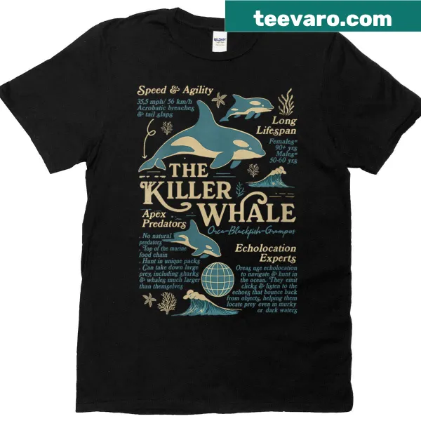 Illustration of a killer whale anatomy on a women's t-shirt