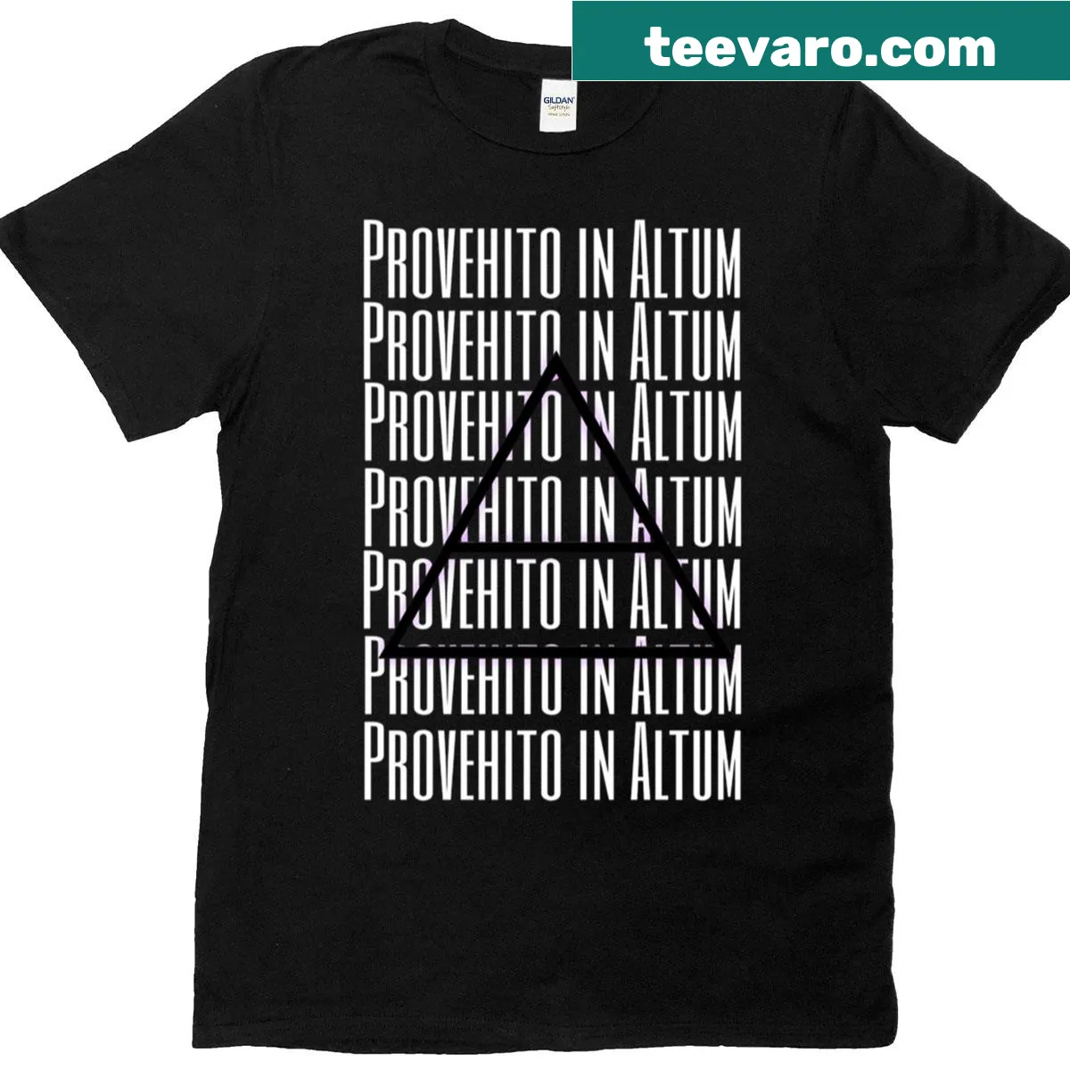 Inspirational T-shirt with the phrase 'Provehito In Altum' — on a men's t-shirt