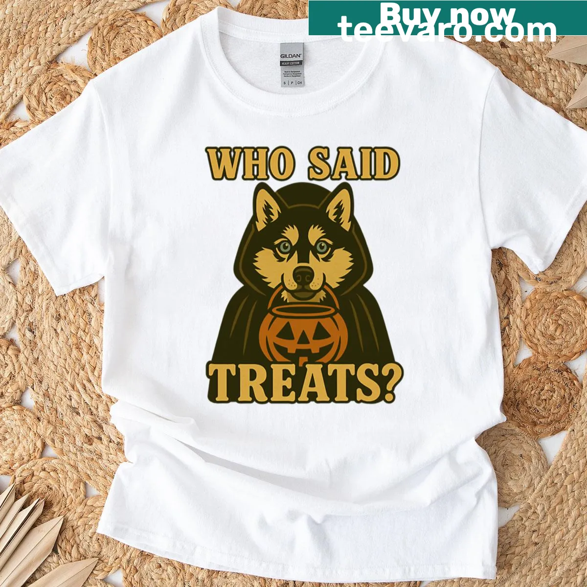 Cute Alaskan Klee Kai in witch costume on Halloween T-shirt — on a men's t-shirt