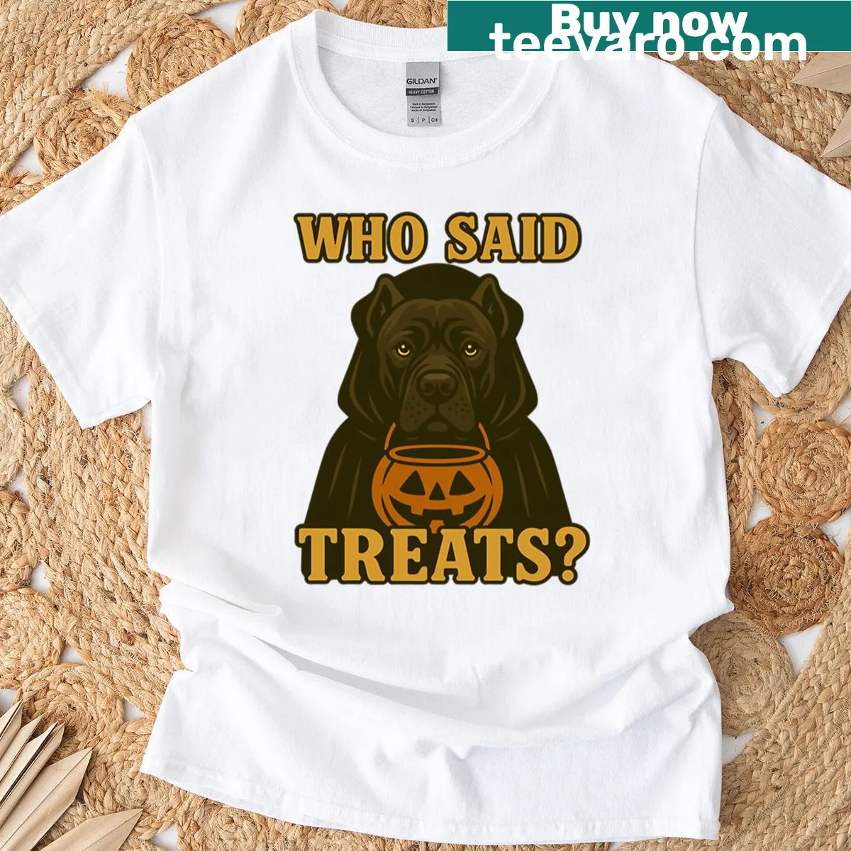 Oversized Halloween t-shirt featuring a Cane Corso in a witch costume with pumpkins. — on a men's t-shirt