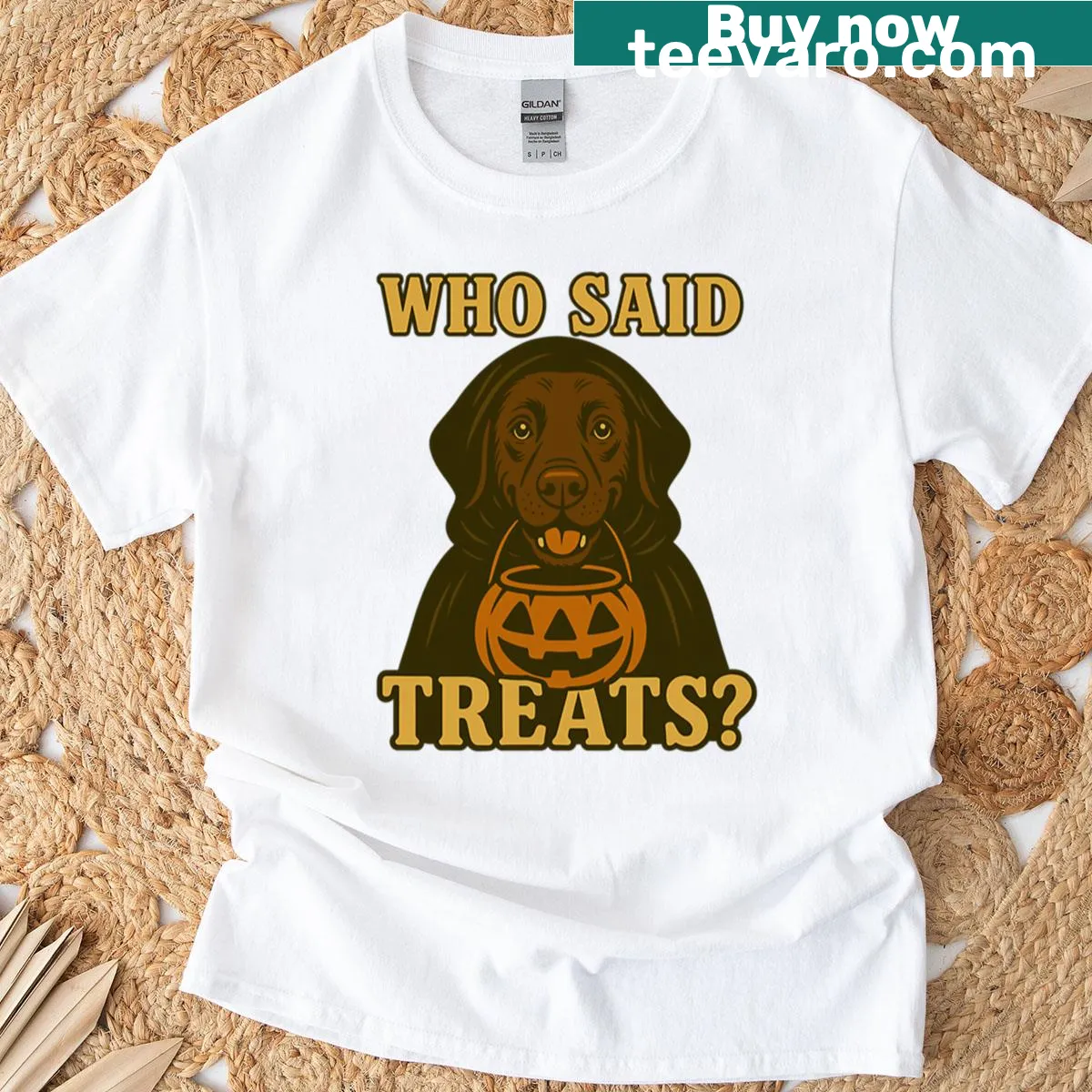 Oversized Halloween t-shirt with Chocolate Labrador design and witch theme — on a men's t-shirt