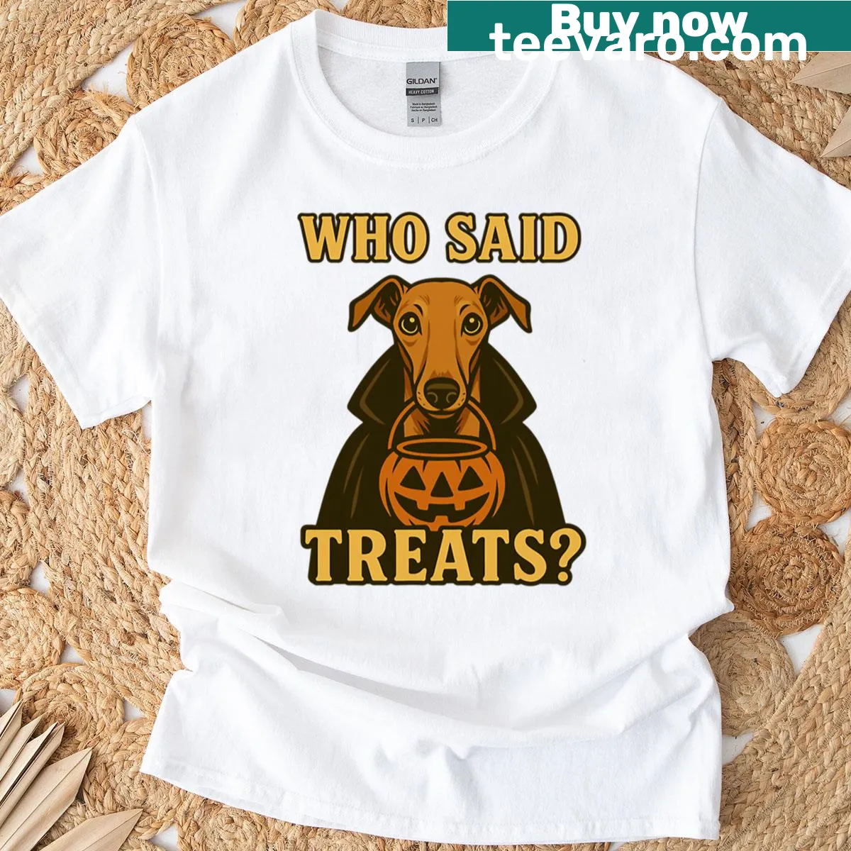 Greyhound Halloween t-shirt with a pumpkin witch design — on a men's t-shirt