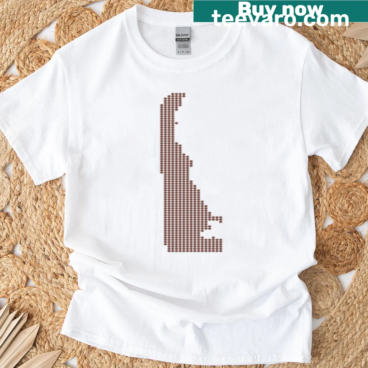 Delaware Football T-shirt with bold team name and football graphic — on a men's t-shirt