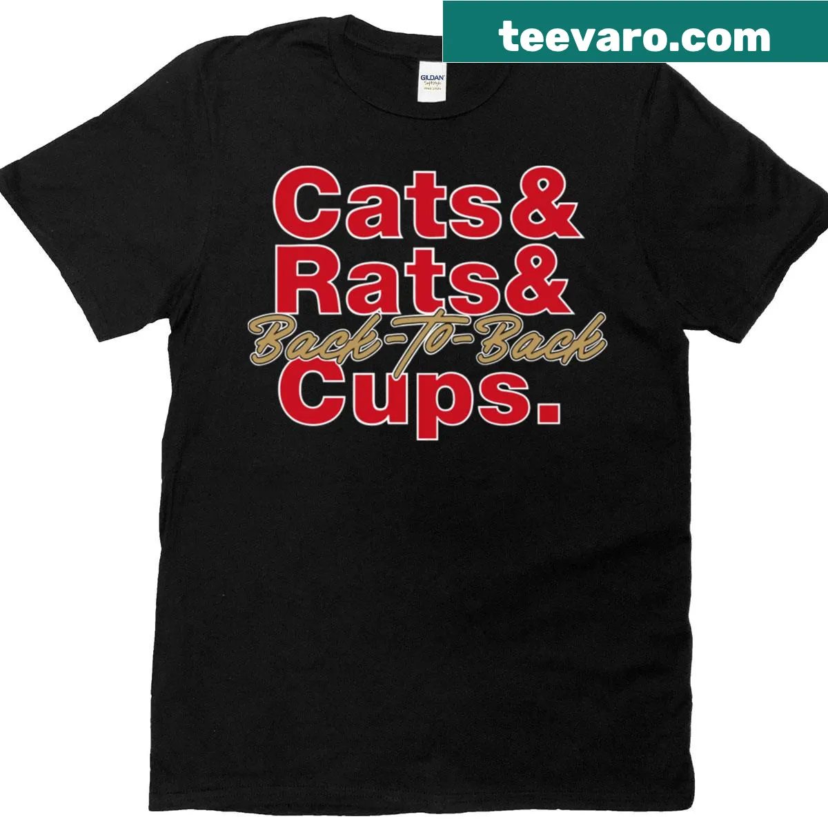 Florida Hockey championship celebration t-shirt with mascots. — on a men's t-shirt