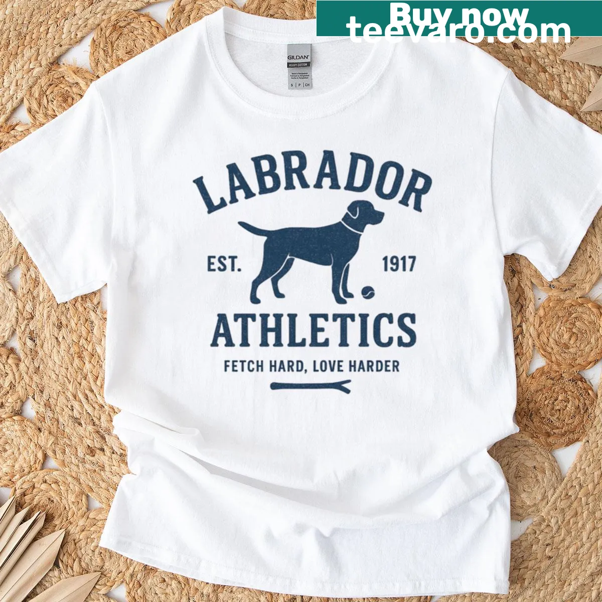 Retro Labrador athletics design on a T-shirt — on a men's t-shirt