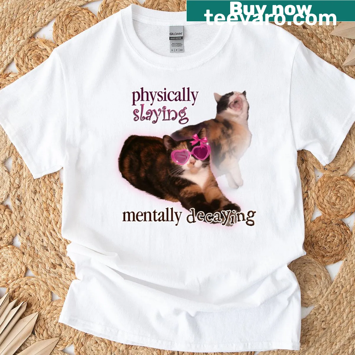 Funny cat-themed T-shirt with the phrase Physically Slaying Mentally Decaying. — on a men's t-shirt