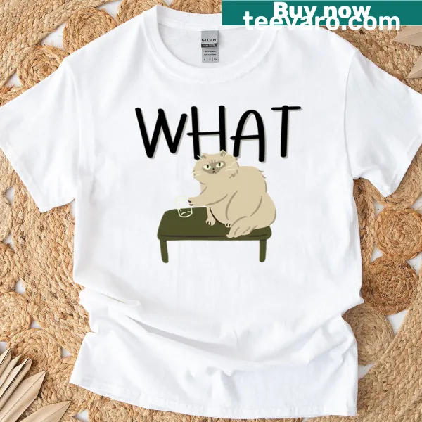 Grumpy cat t-shirt with humorous text about entitlement