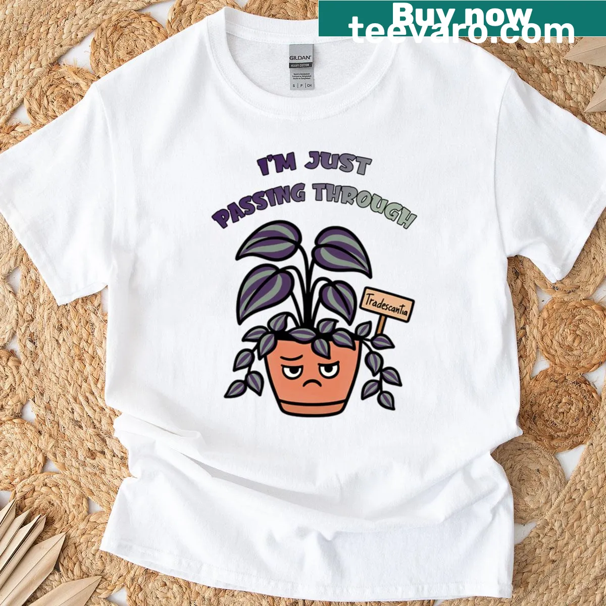 Funny houseplant characters t-shirt with Tradescantia Zebrina design — on a men's t-shirt