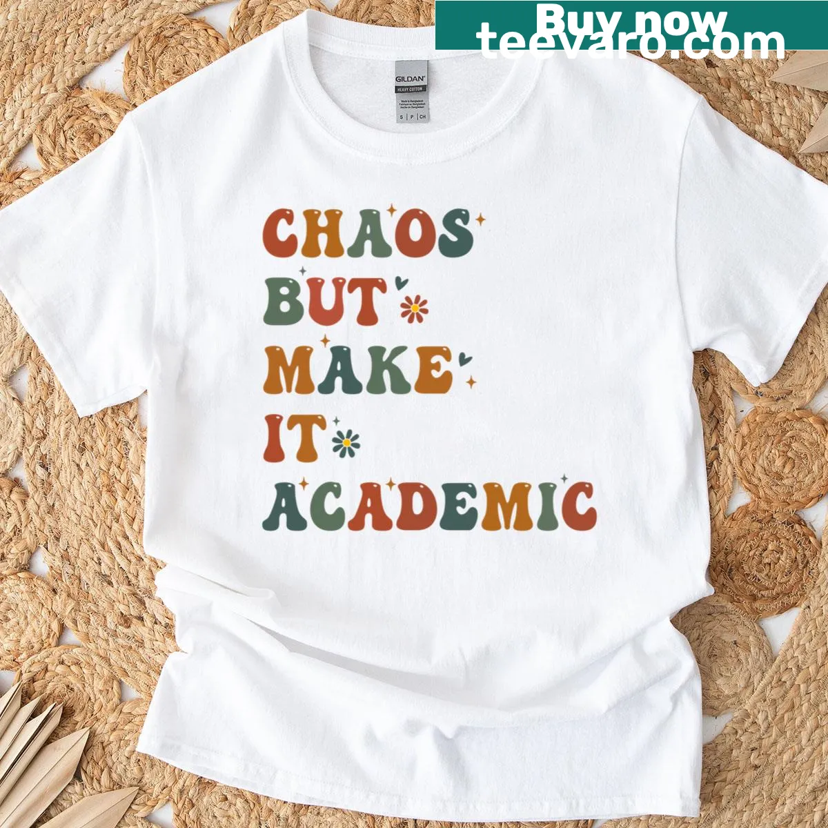 Funny teacher t-shirt about chaos and academia — on a men's t-shirt