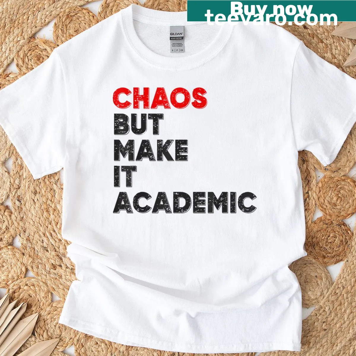 Funny teacher t-shirt with academic chaos quote — on a men's t-shirt