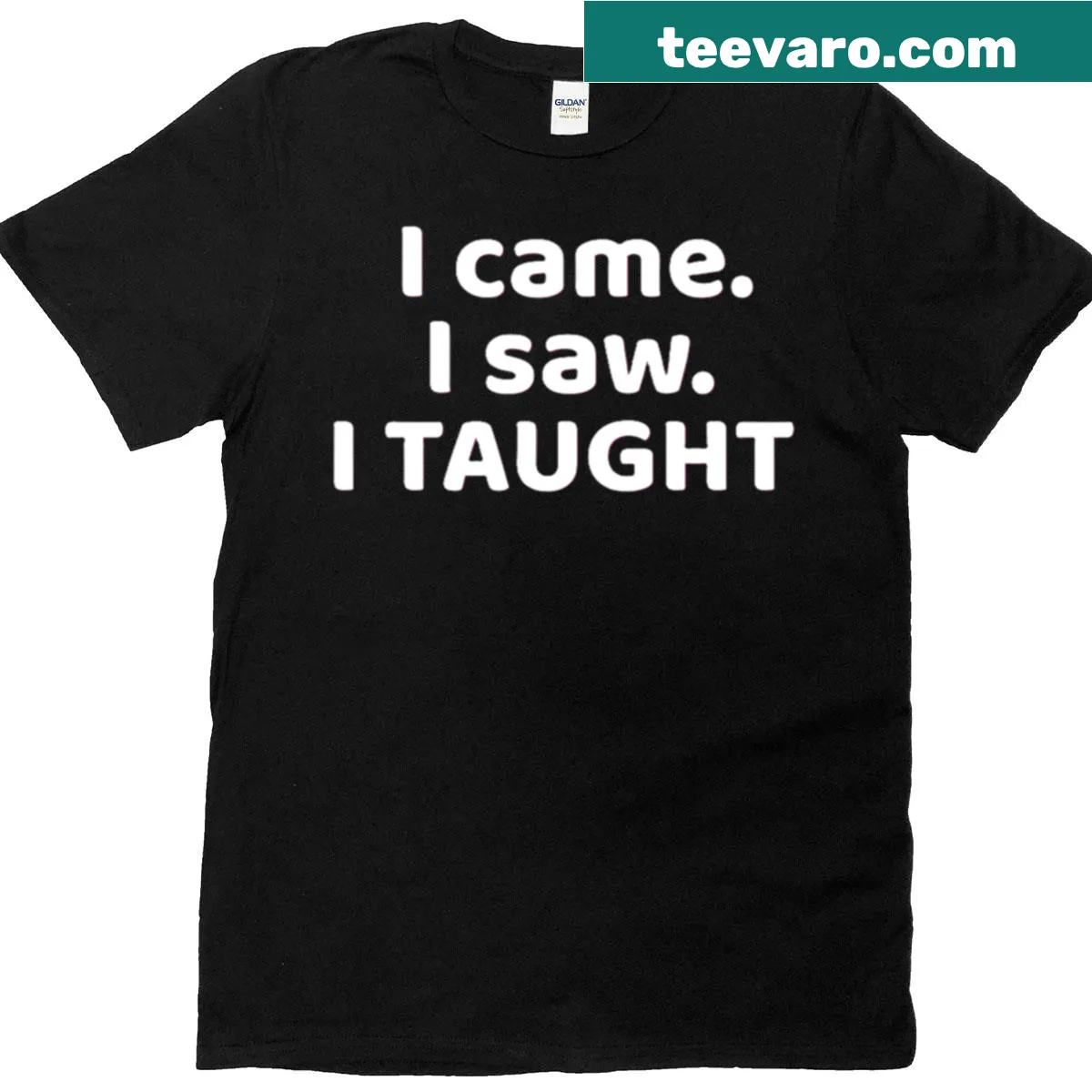 T-shirt with text 'I Came I Saw I Taught' — on a men's t-shirt