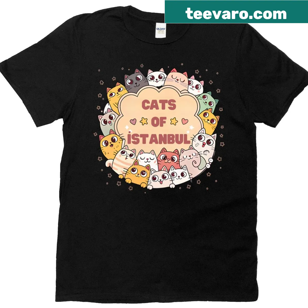 Cute cat illustration inspired by Istanbul on a T-shirt — on a men's t-shirt