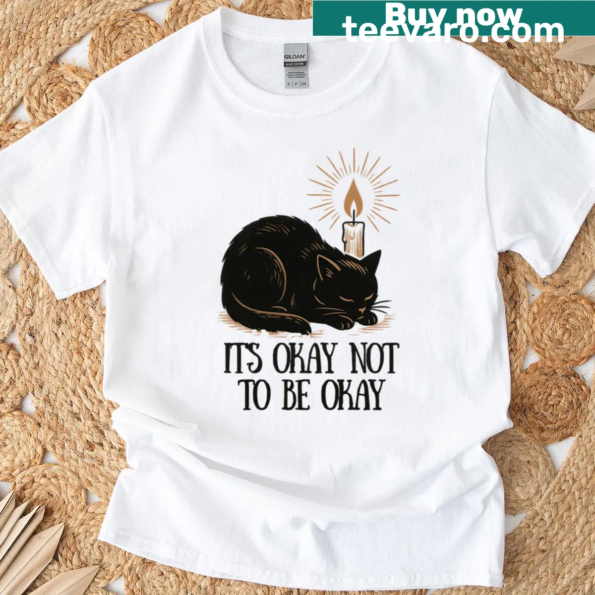 Funny T-shirt for cat lovers about mental health — on a men's t-shirt