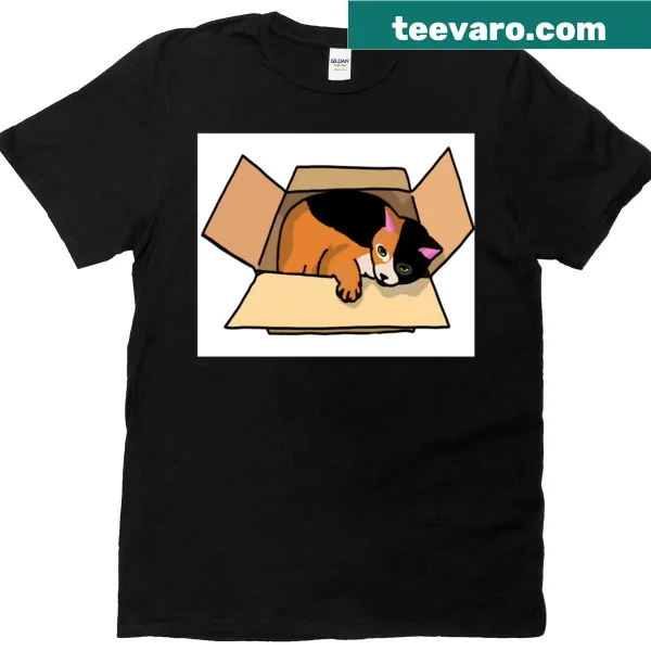 Adorable cat in a box graphic T-shirt for cat lovers.