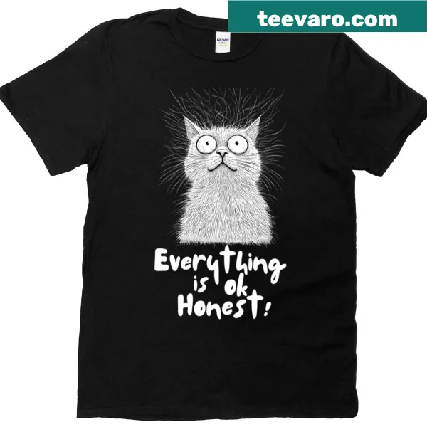 Oversized t-shirt featuring a funny frazzled cat illustration with the phrase 'Everything Is Ok'
