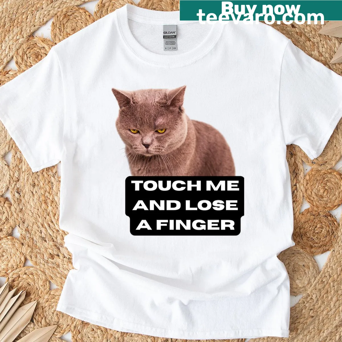 Illustration of an angry gray cat on a casual t-shirt — on a men's t-shirt