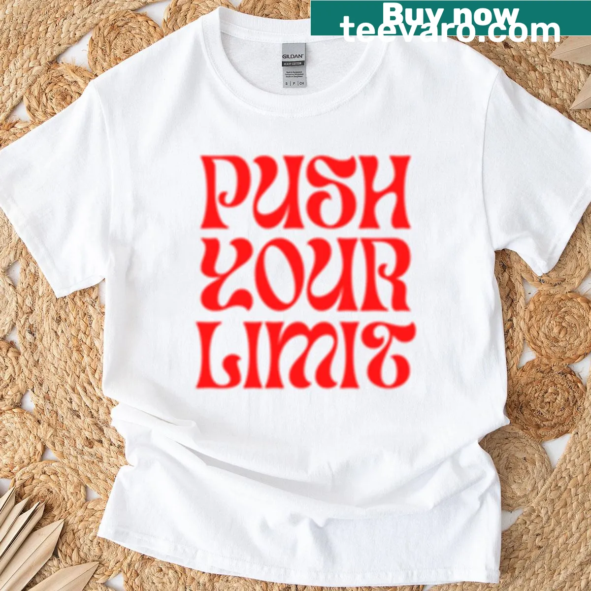 Y2K graphic T-shirt celebrating 2000s pop culture — on a men's t-shirt