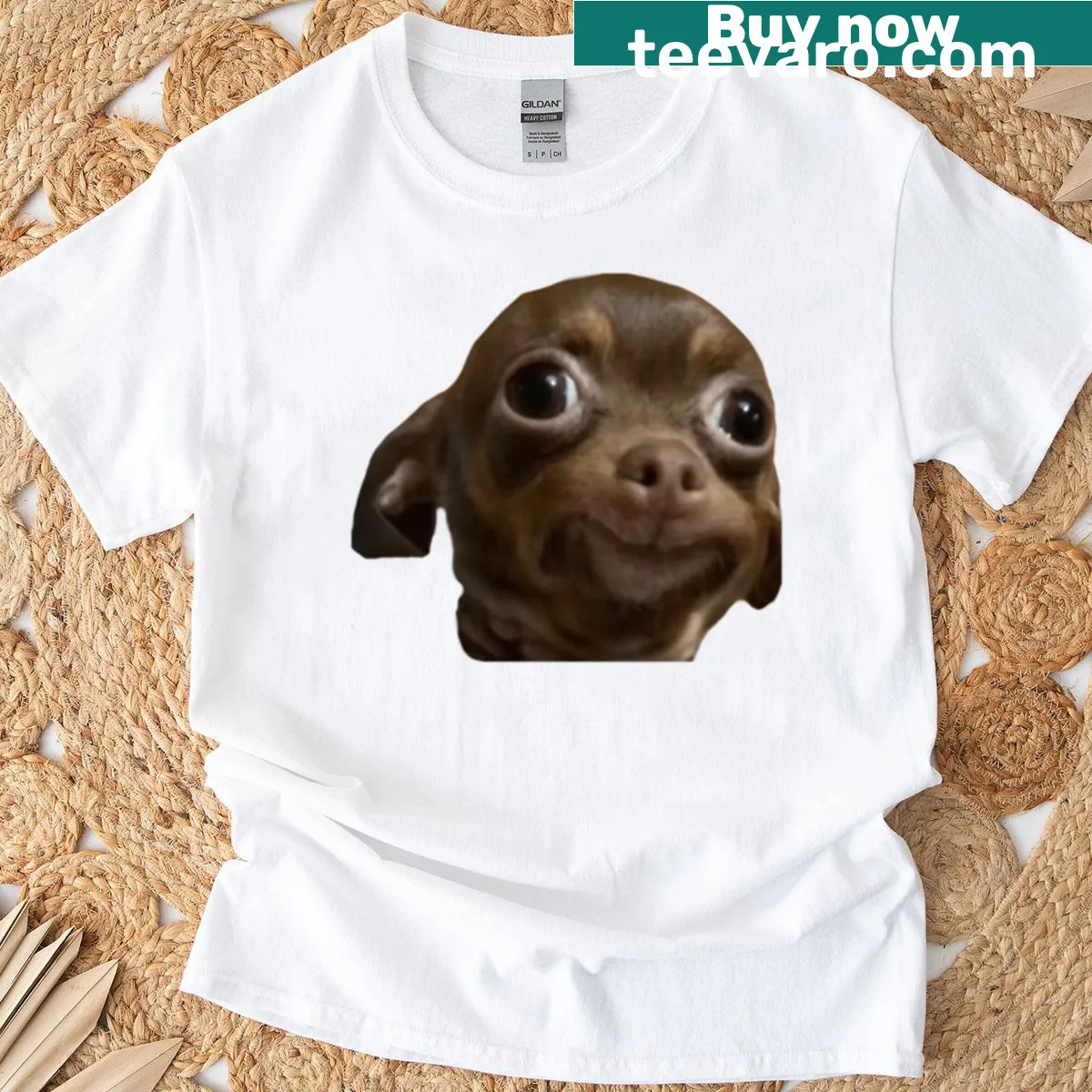 Oversized T-shirt featuring a funny dog meme illustration — on a men's t-shirt