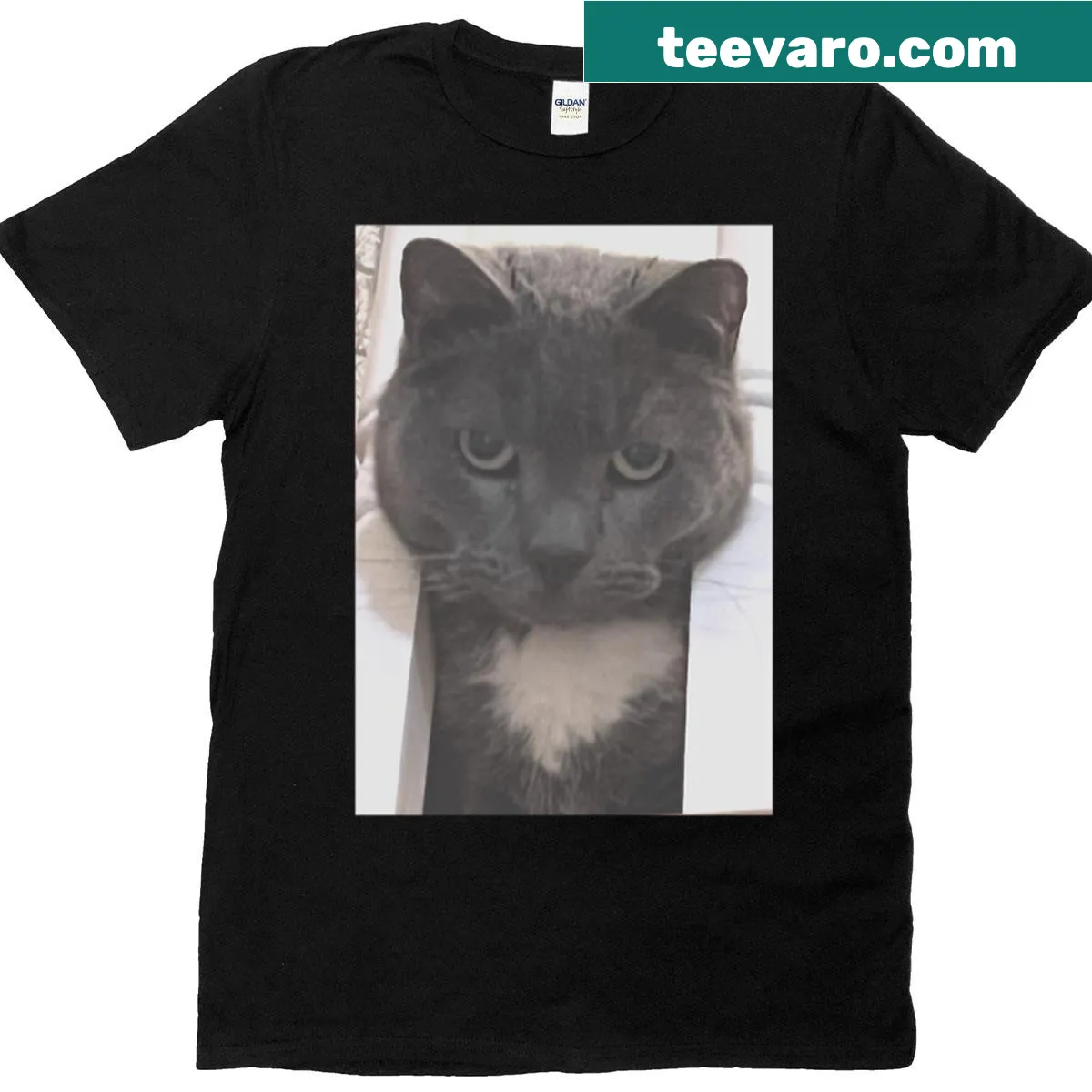 Illustration of Charlie the cat on a T-shirt — on a men's t-shirt