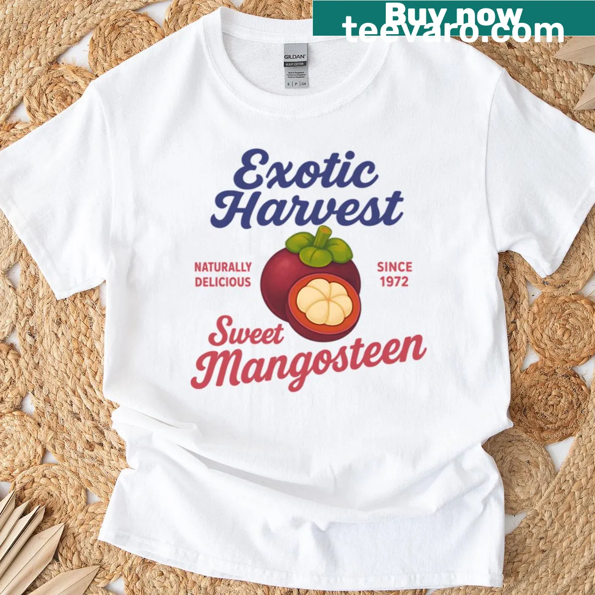 Vintage mangosteen fruit graphic on t-shirt — on a men's t-shirt
