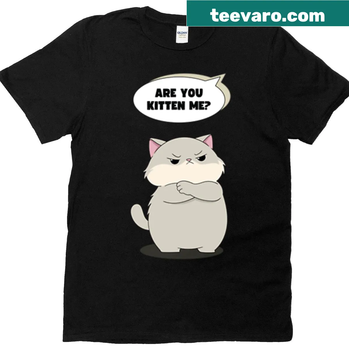 Playful graphic with witty phrases about cats on t-shirt — on a men's t-shirt