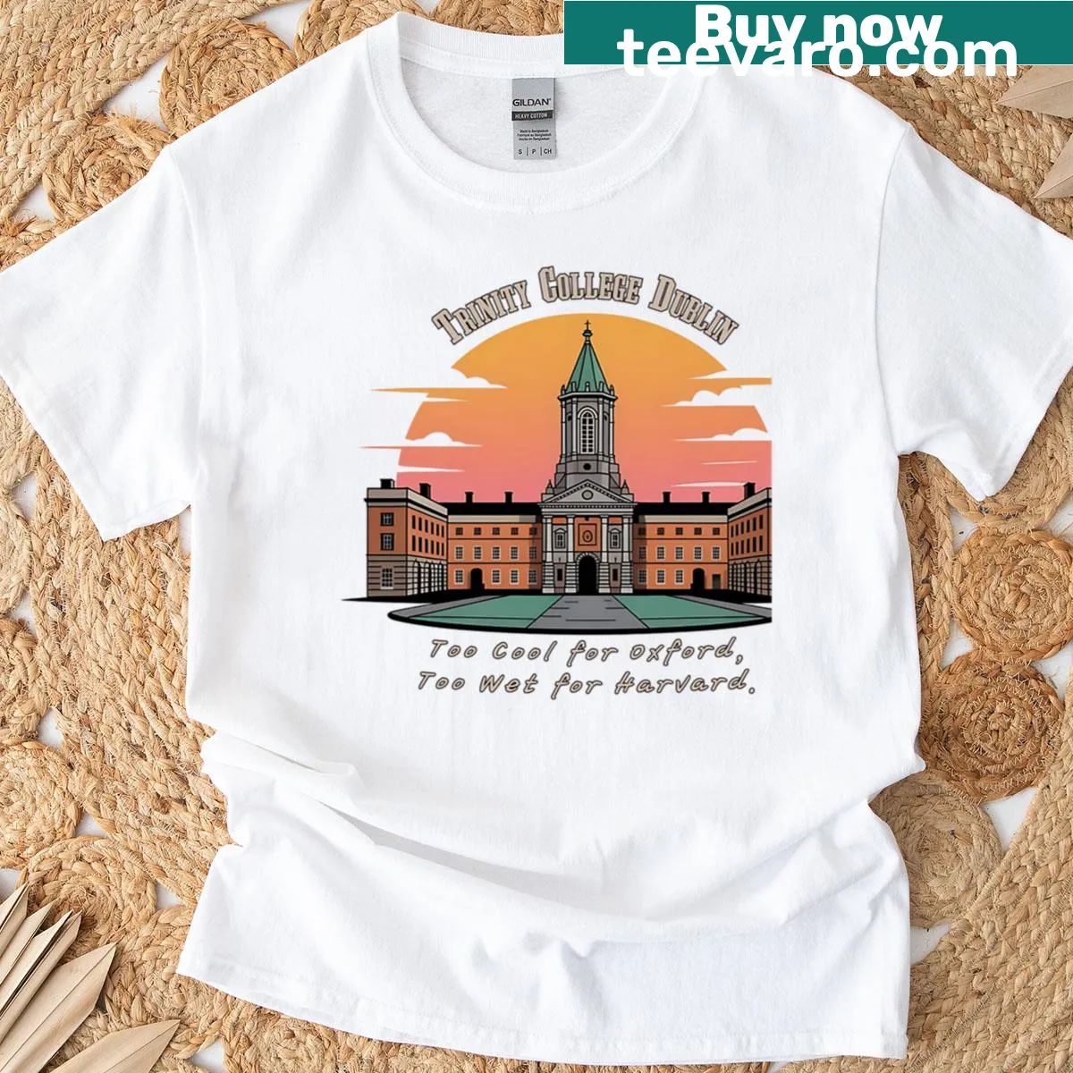 Oversized T-shirt featuring humorous academic rivalry phrases — on a men's t-shirt