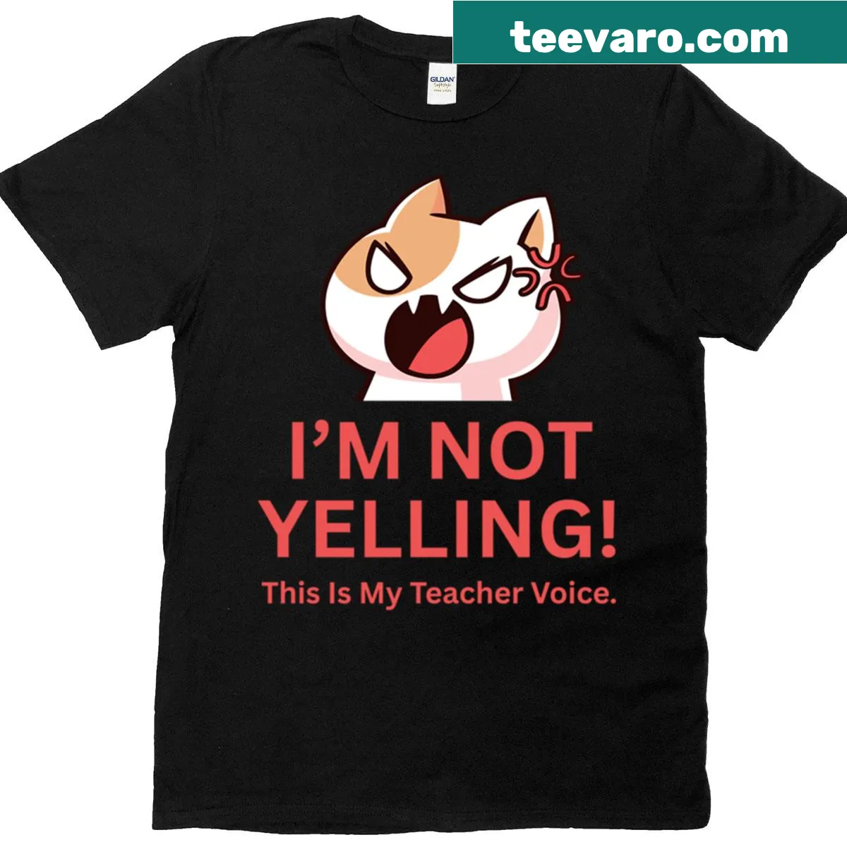 Funny teacher T-shirt with a humorous message — on a men's t-shirt