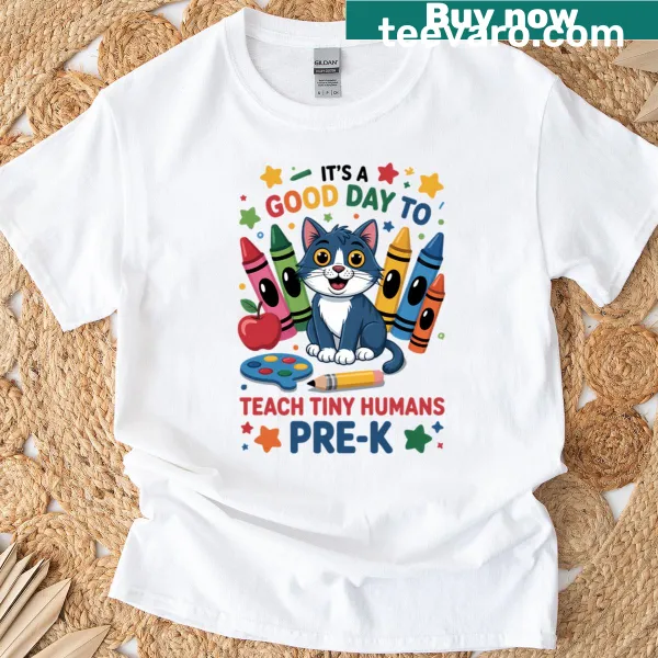 Oversized T-shirt for pre-k teachers featuring a cat design.
