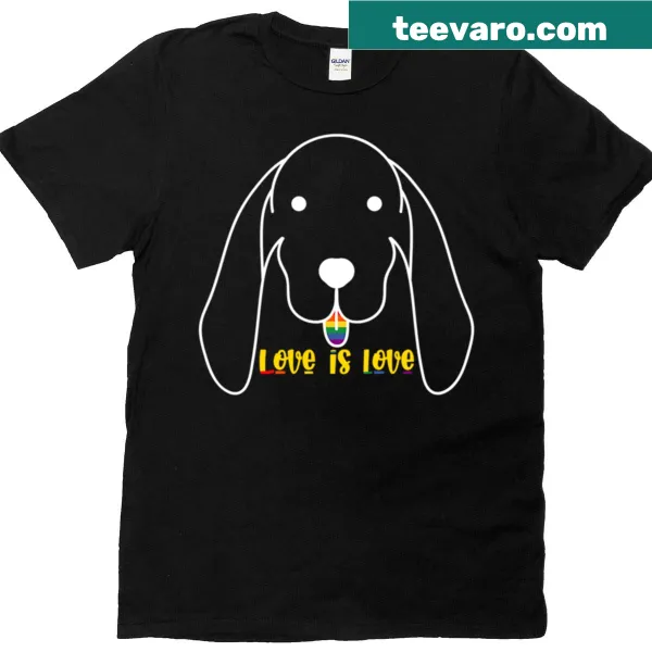 T-shirt featuring the phrase Love Is Love in bold letters