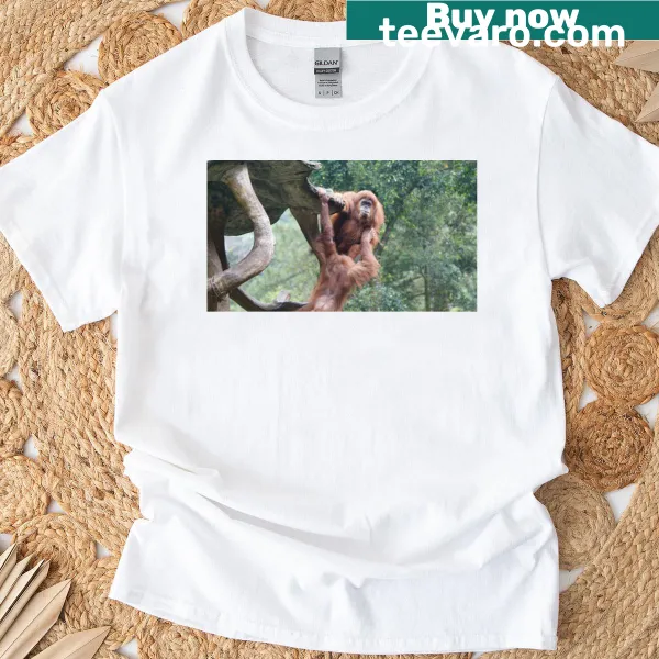Illustrated orangutan graphic on a fun t-shirt