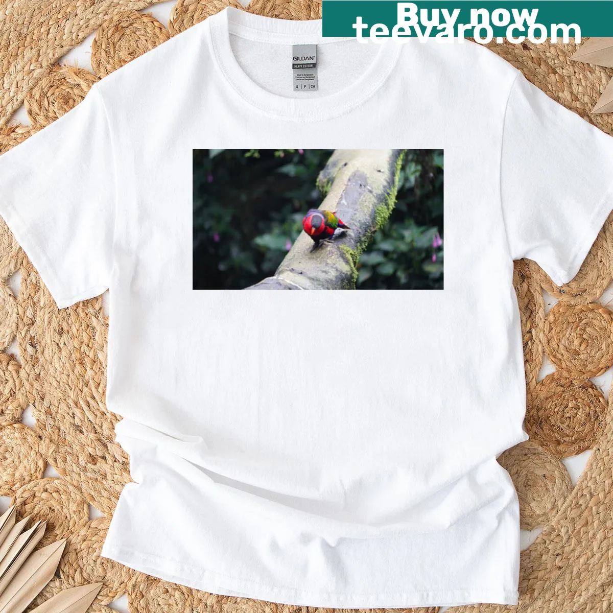 Illustrated parrot graphic on a nature-themed t-shirt — on a men's t-shirt