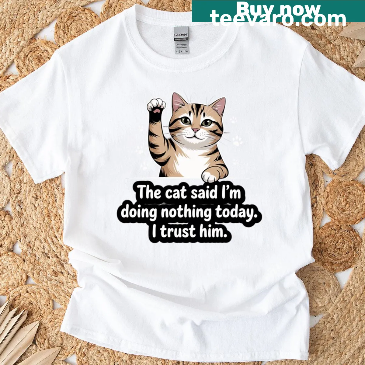 Oversized T-shirt with a funny cat graphic saying I'm doing nothing today — on a men's t-shirt