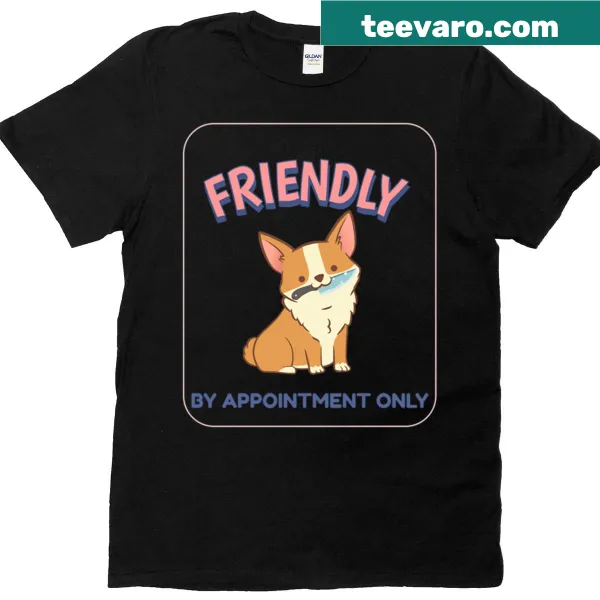 T-shirt with the phrase 'Friendly By Appointment Only'