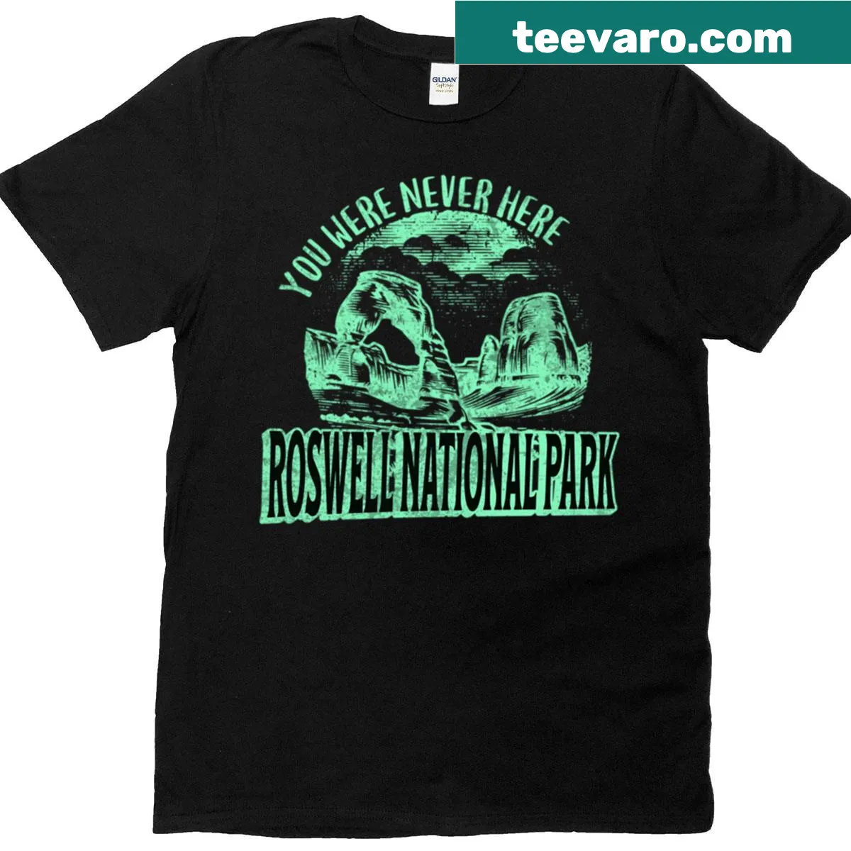 UFO over Roswell National Park graphic on a T-shirt — on a men's t-shirt