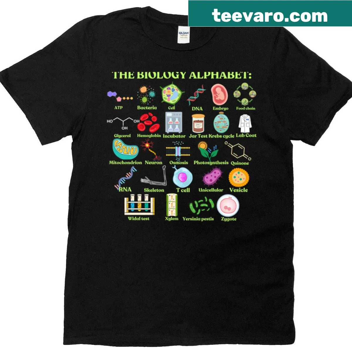 Oversized T-shirt with a playful biology alphabet graphic — on a men's t-shirt