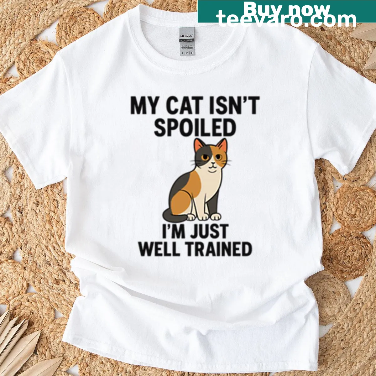 T-shirt with humorous 'My Cat Isn't Spoiled' text — on a men's t-shirt