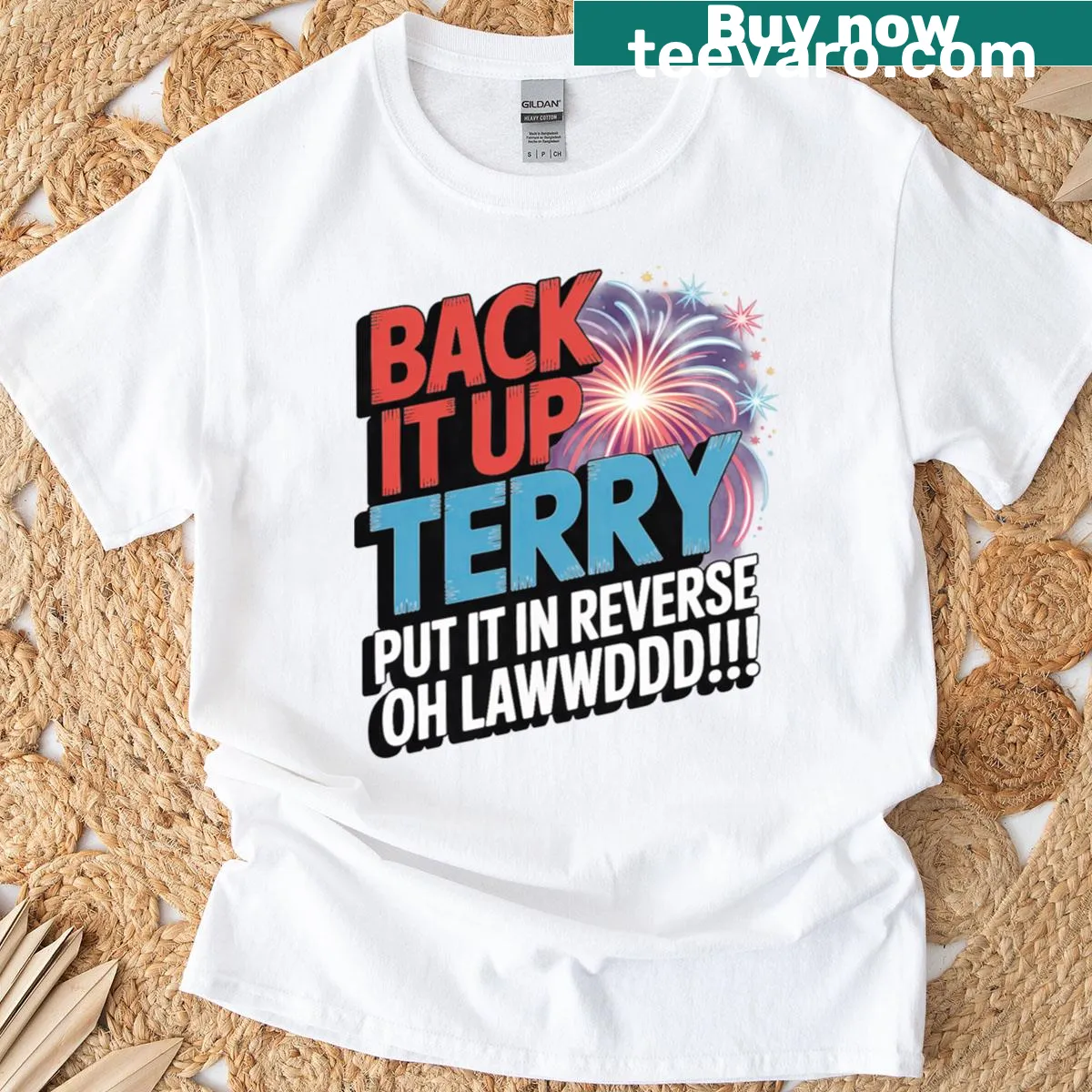 Fourth of July t-shirt with the phrase 'Back It Up Terry' in bold text — on a men's t-shirt
