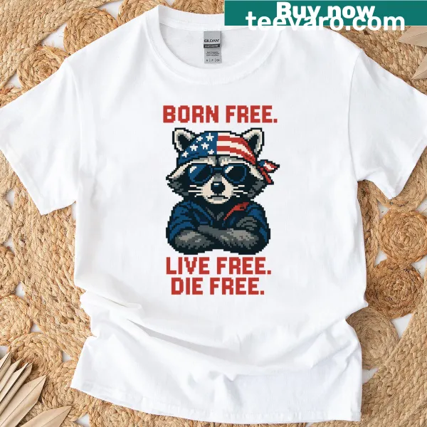 Retro pixel raccoon graphic with text about freedom on a t-shirt